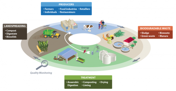 Economia circolare: un modello per il futuro dal mondo contadino